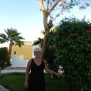 ���� ����, ���, 69 ��� - ��������� 20 ��� 2013 � ������ ���� ����������