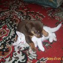 ���� ���������, ����������, 35 ��� - ��������� 26 ������ 2011 � ������ ���������=)�