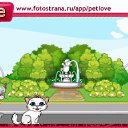  ,  , 50  -  11  2010   PetLove