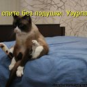 ���� ����, �����-���������, 45 ��� - ��������� 3 ���� 2011 � ������ �������������)�
