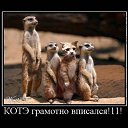 ���� ������, ������, 48 ��� - ��������� 14 ������ 2010 � ������ �������� ��������
