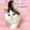  , , 54  -  9  2012   PetLove