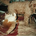 ���� ��, ��������, 59 ��� - ��������� 28 ������ 2009 � ������ ���� ���������