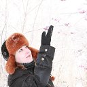 ���� �����, ����������, 68 ��� - ��������� 27 ������� 2012