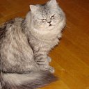 ���� Svetlanas, ���������, 47 ��� - ��������� 7 ���� 2010 � ������ ���� �������