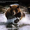 ���� ��������, ����� - ��������� 13 ������ 2011 � ������ �������