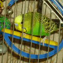 ���� ������125��, ��������� - ��������� 26 �������� 2011 � ������ ��������� ��������