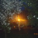 ���� ������, �����������, 54 ���� - ��������� 17 ���� 2013 � ������ ������������