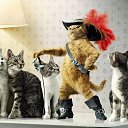 ���� ���� (�������� ���), ���������, 54 ���� - ��������� 30 ����� 2010 � ������ �������