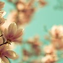 ���� ����, ������, 49 ��� - ��������� 20 ������� 2013 � ������ �����λ