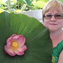 ���� �������, ����, 56 ��� - ��������� 30 �������� 2011 � ������ ���� �������