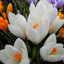 ���� ��������, ���������, 64 ���� - ��������� 16 ������ 2012 � ������ �������