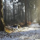 ���� �����, ����� - ��������� 29 ������ 2013 � ������ ����� �� ������� ���˻