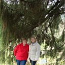 ���� ������, ����������� - ��������� 9 ������ 2012 � ������ ������ ������