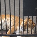 ���� ����, �����, 25 ��� - ��������� 17 �������� 2012 � ������ �������