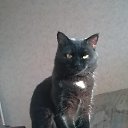 ���� �����, ������������, 56 ��� - ��������� 28 ������ 2013 � ������ ���� ����������