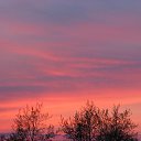 ���� �����, �������, 48 ��� - ��������� 7 ���� 2010 � ������ ���� �������