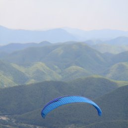 ���� Andrei, ���������, 42 ���� - ��������� 1 �������� 2011