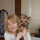 ���� ��������, ������, 62 ���� - ��������� 11 ��� 2013