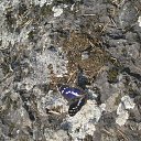 ����, ������� ����������� �� ������� ���� ����������