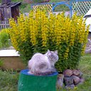 ���� �����, ����������� - ��������� 8 �������� 2011 � ������ �������