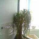 ���� ���������, ����, 65 ��� - ��������� 28 ���� 2012 � ������ �����