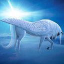 ���� Knoss, ������������, 26 ��� - ��������� 29 ������ 2010 � ������ �������� � �����