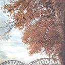 ���� Anna, ������, 62 ���� - ��������� 14 ��� 2012 � ������ ���� ��� ������