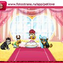  , , 48  -  23  2010   PetLove