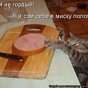 ���� ��������, ������������, 23 ���� - ��������� 20 ������� 2011 � ������ �������������