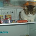  Skif, , 47  -  16  2011