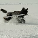 ���� �����, ��������, 49 ��� - ��������� 15 ���� 2012 � ������ ���� ����������