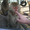 ���� Valermaler, �����-��������� - ��������� 7 �������� 2009