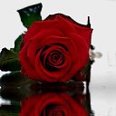 ���� Zak-zek, �������, 40 ��� - ��������� 20 ������� 2010