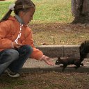   , , 55  -  15  2012   Victor