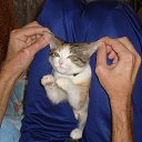 ��� - ����. �� ������� ���� ����� �����.�