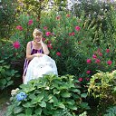  , -, 66  -  23  2013    