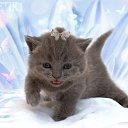 � ����� �������� ���� vk.com/fotiko �� ������� ���� ����������