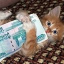 ���� ������, ������, 46 ��� - ��������� 16 �������� 2011 � ������ �������