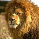 ���� ������, �������, 69 ��� - ��������� 3 ���� 2013 � ������ ���� ����������