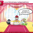 ���� Zulfuqar, ����, 49 ��� - ��������� 20 ������ 2011 � ������ �PetLove�