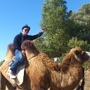 ���� ����, ���������, 35 ��� - ��������� 29 �������� 2012 � ������ ���� ����������