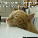 ���� ����, �����, 50 ��� - ��������� 10 ���� 2010 � ������ ������������
