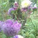 ���� ����, ��������, 49 ��� - ��������� 4 ���� 2011 � ������ �RoadKing�