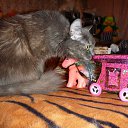  , , 85  -  25  2010    