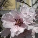   - , , 65  -  2  2012   