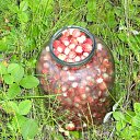 ���� �������, ������, 69 ��� - ��������� 6 ��� 2012