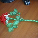 ���� ������, ��������, 40 ��� - ��������� 29 ������ 2012