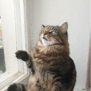 ���� ����, �����, 25 ��� - ��������� 30 ������ 2012 � ������ ������