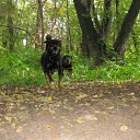 ���� ������, ���������, 24 ���� - ��������� 10 ������� 2012 � ������ ���� ����������